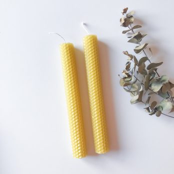 100% Beeswax Hand-Rolled Pillar Candles (set of 2 long)